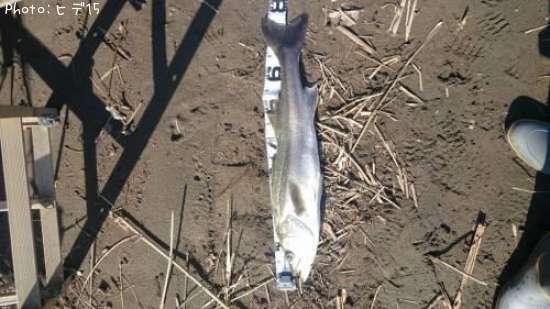 �����Х�