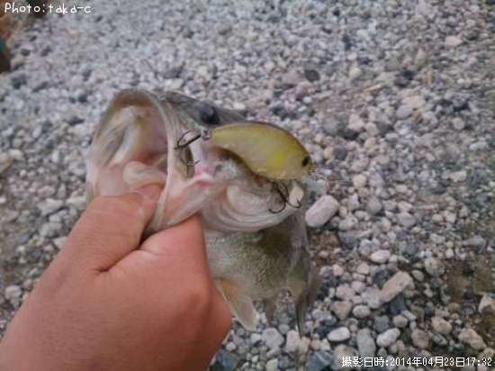 �֥�å��Х�