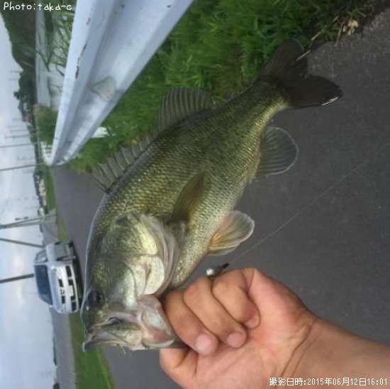 �֥�å��Х�