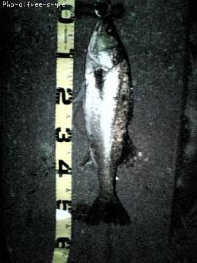 �ӣ��£���