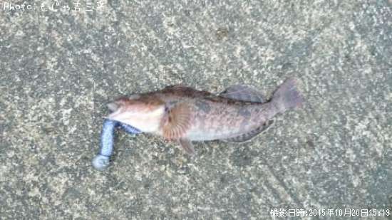 �����ʥ�