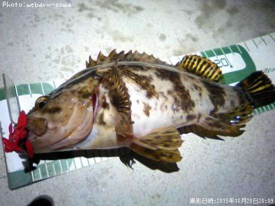 �����Υ���Х�