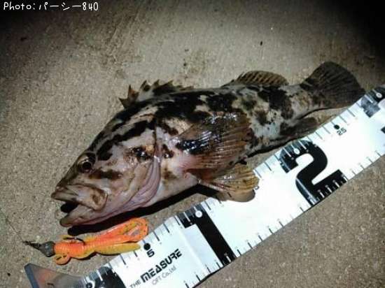 �����Υ���Х�