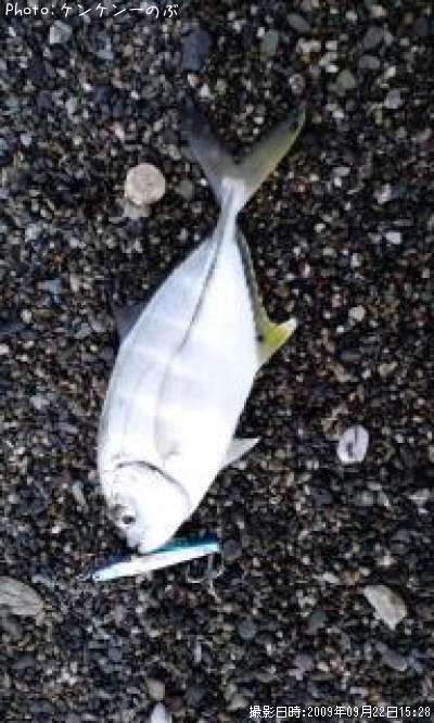 ���Сʥ�å���