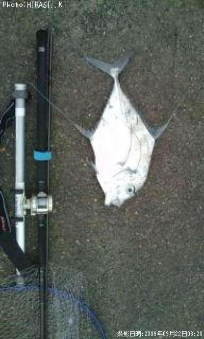 ���ȥҥ�����