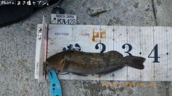 �����ʥ�