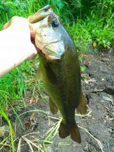 �顼���ޥ����Х�