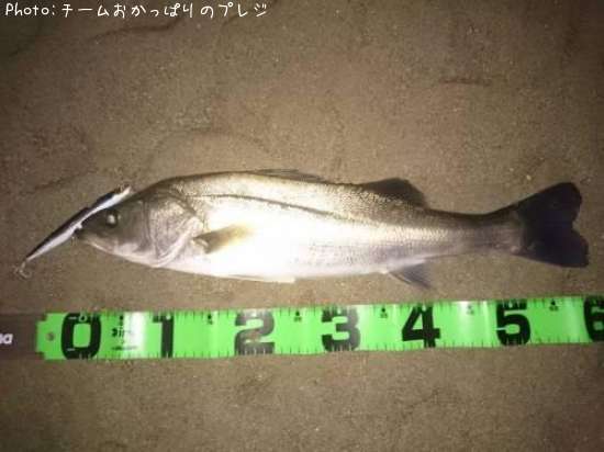 �����Х�