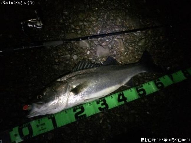 �����Х�