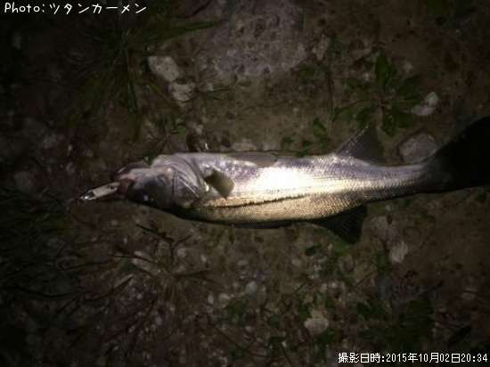 �����Х�