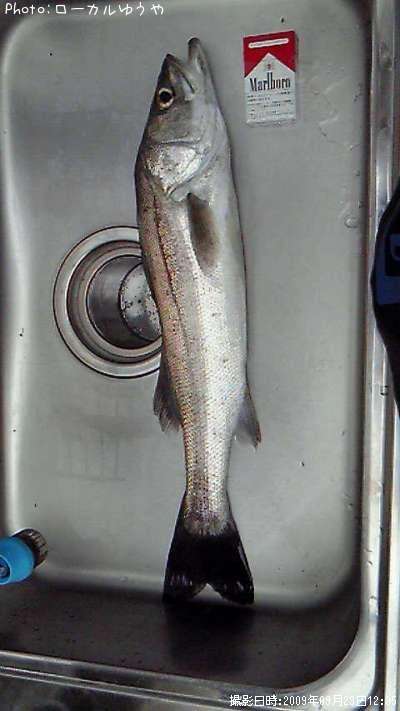 �����Х�