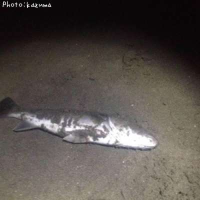 �����Х�