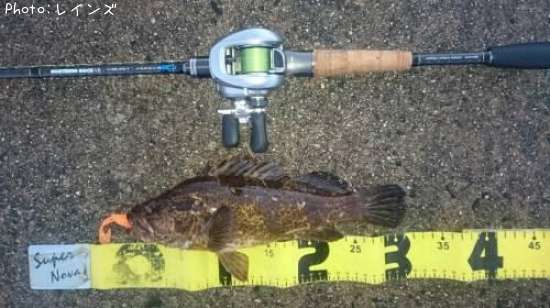 �����Υ���Х�