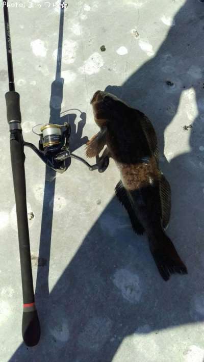 �����ʥ�