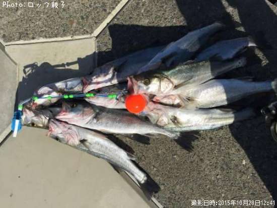 �����Х�