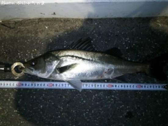 �����Х�