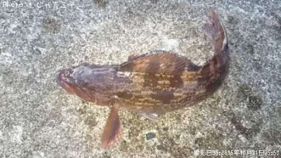 �����ʥ�