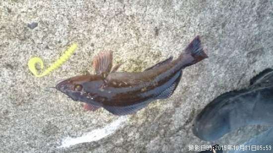 �����ʥ�