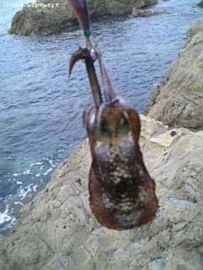 �����ꥤ��