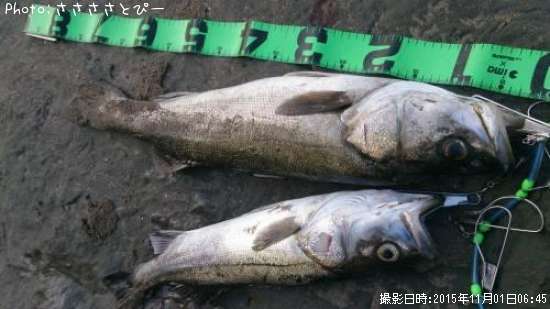 �����ե����Х�