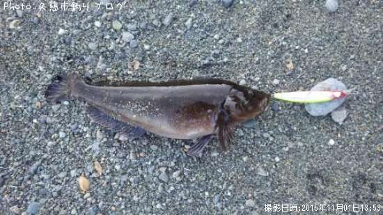 �����ʥ�