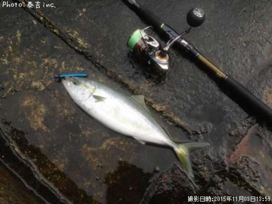 ��ʪ�ѡ��ȣ�