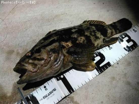 �����Υ���Х�