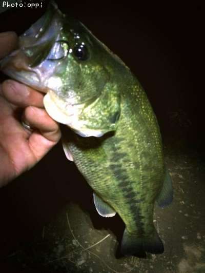 �֥�å��Х�