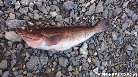 �����ʥ�