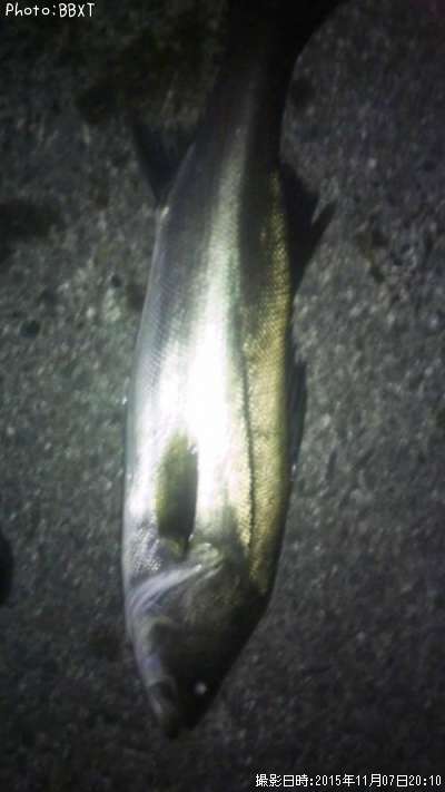 �����Х�