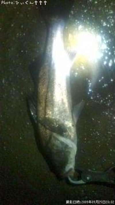 �����Х�