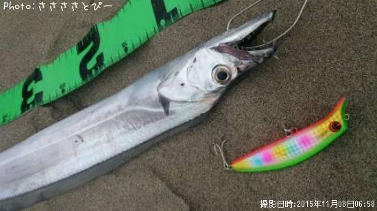 ������������������ա�