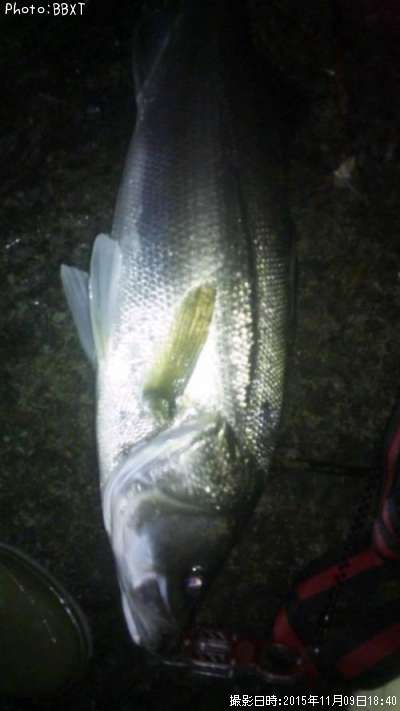 �����Х�