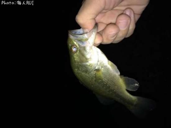 �֥�å��Х�