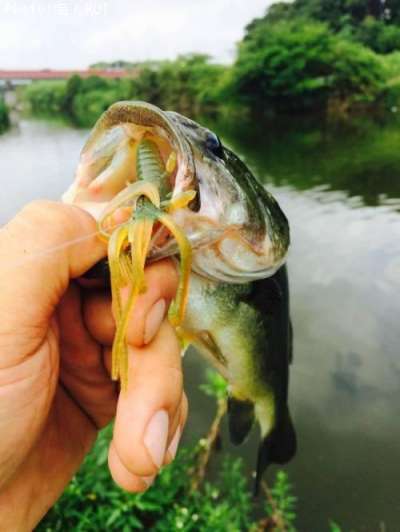 �֥�å��Х�