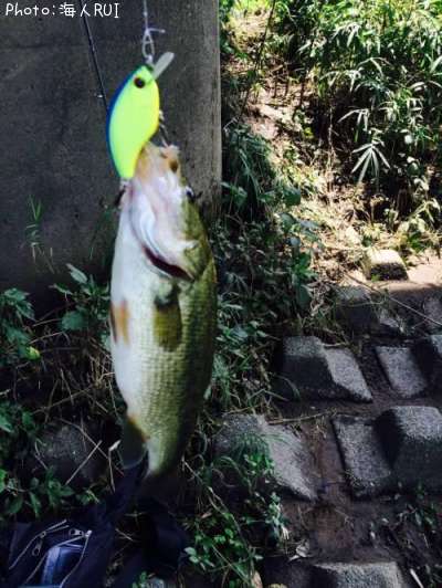 �֥�å��Х�