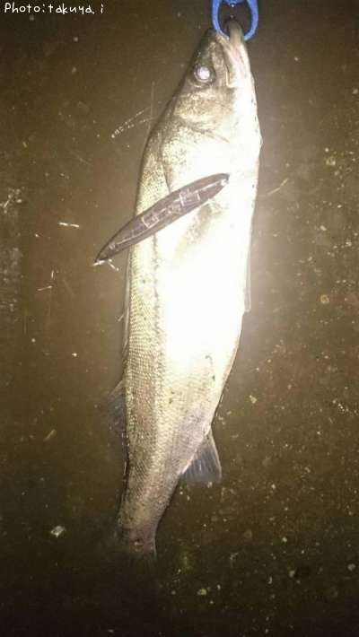 �����Х�