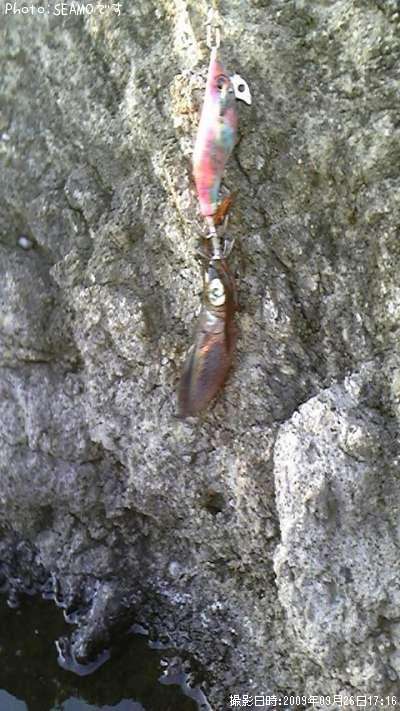 �����ꥤ��