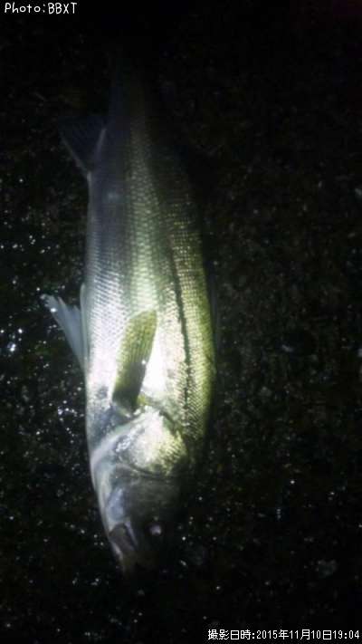 �����Х�