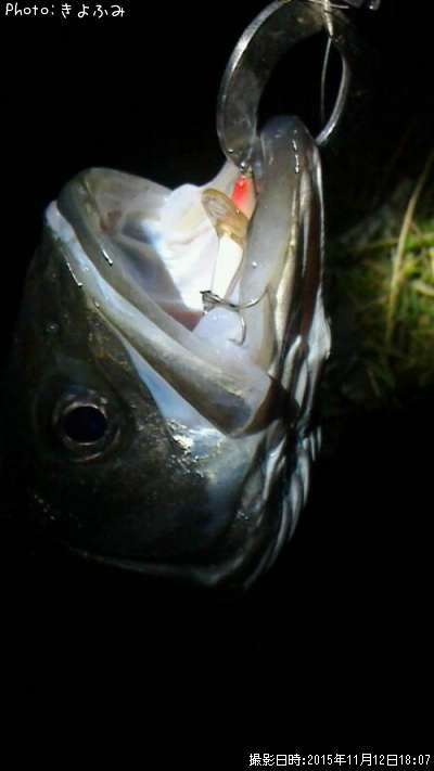 �����Х�