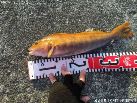 �����ʥ�