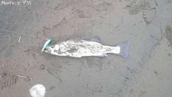 �����Х�