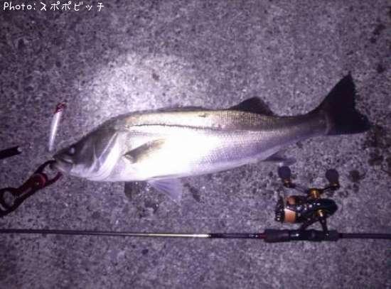 �����Х�