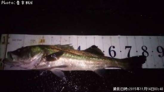 �����Х�