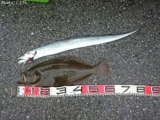 �Ҥ�ᡢ�����