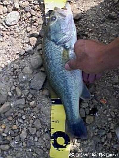 �֥�å��Х�