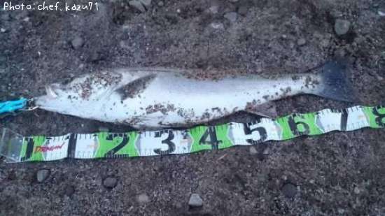 �����Х�