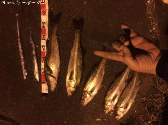 �����Х�