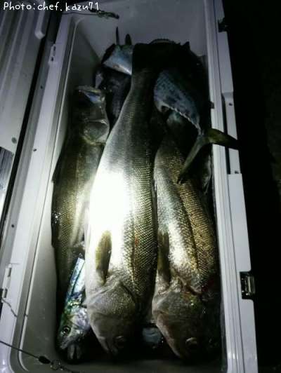 �����Х�