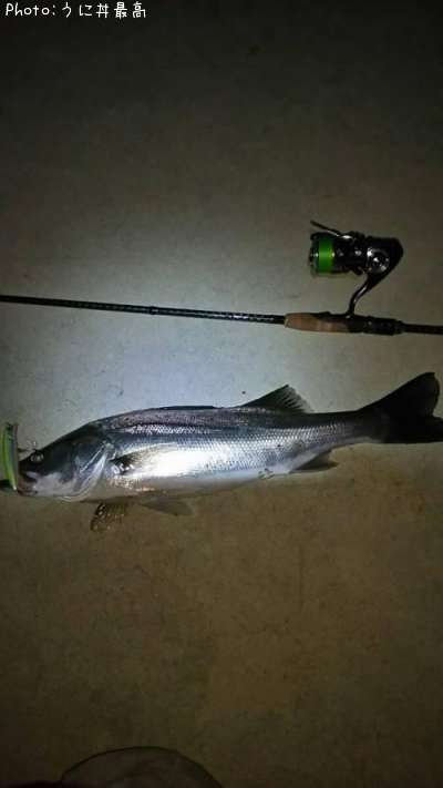 �����Х�